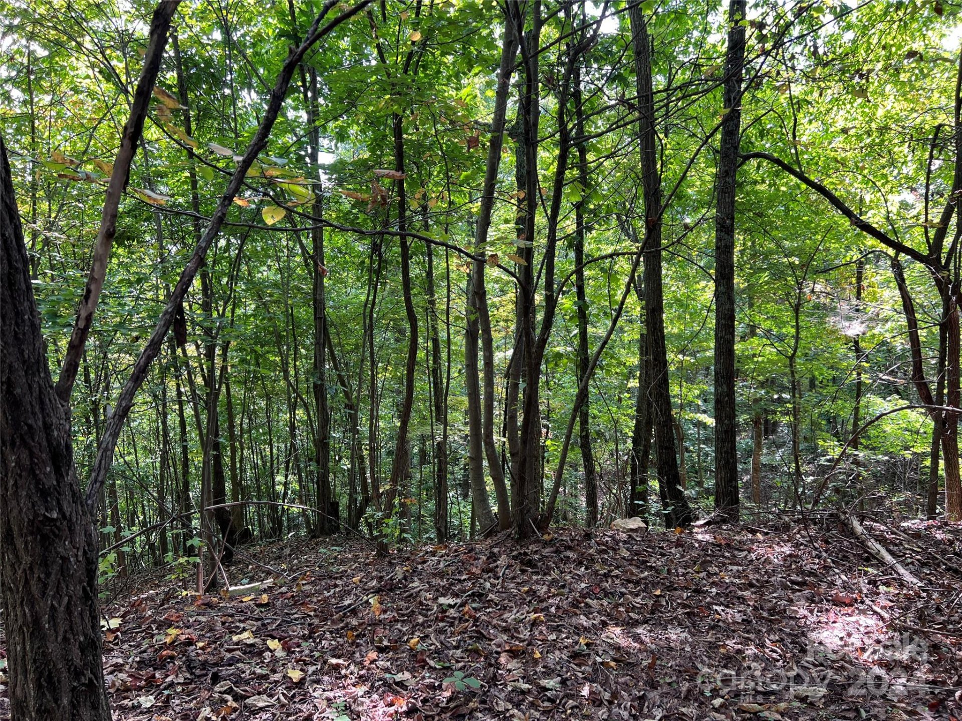 Property at 0 Old Forge Drive, Bostic, NC 28018