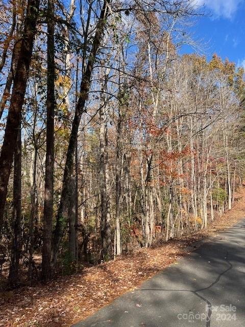 Property image 4 at 246 Basswood Road, Troy, NC 27371