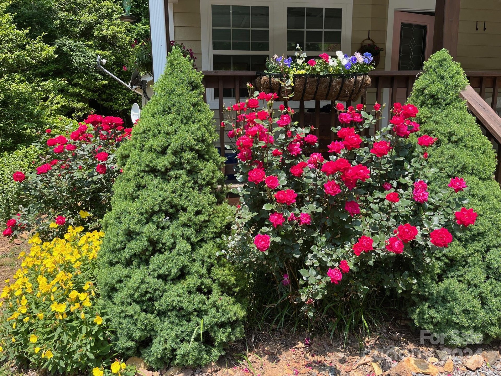 Property image 4 at 155 Rio Bravo Drive, Sylva, NC 28779