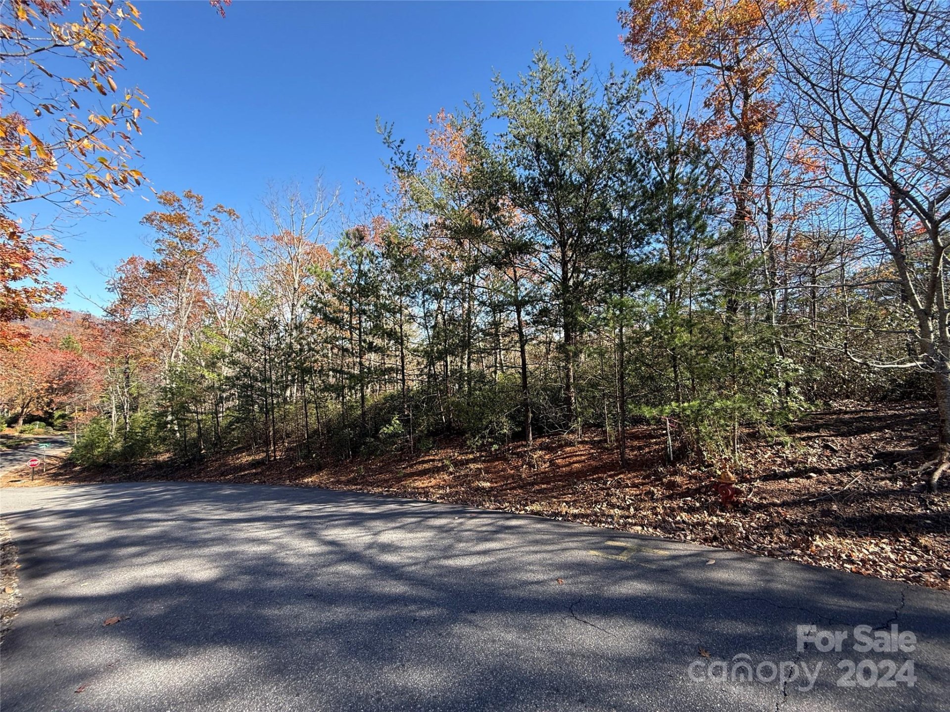 Property image 2 at Lot 48 Shumont Estates Drive, Lake Lure, NC 28746