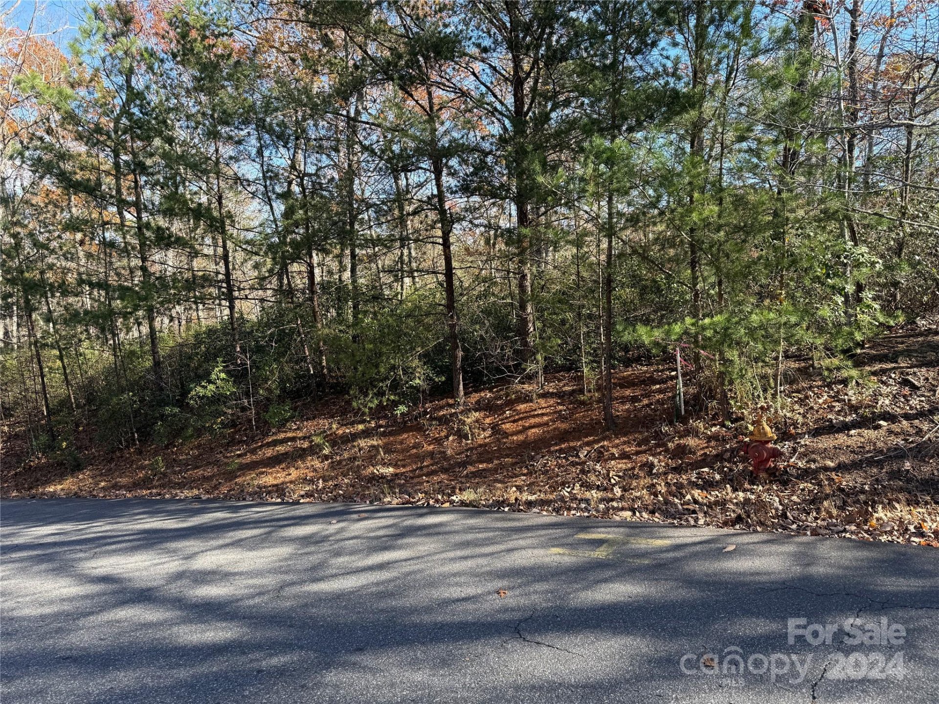 Property image 3 at Lot 48 Shumont Estates Drive, Lake Lure, NC 28746