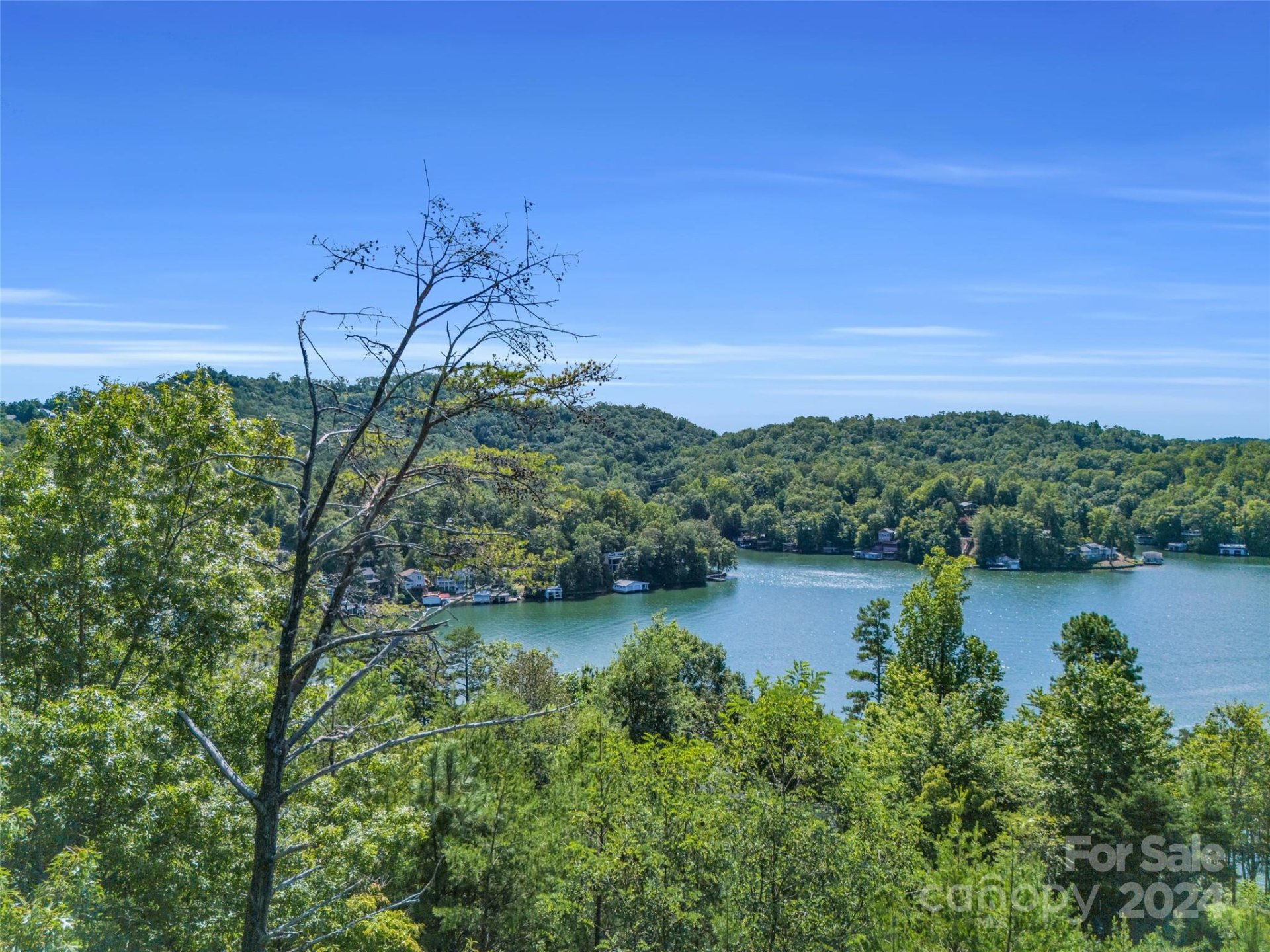 Property image 2 at 0 Holmstead Drive, Lake Lure, NC 28746