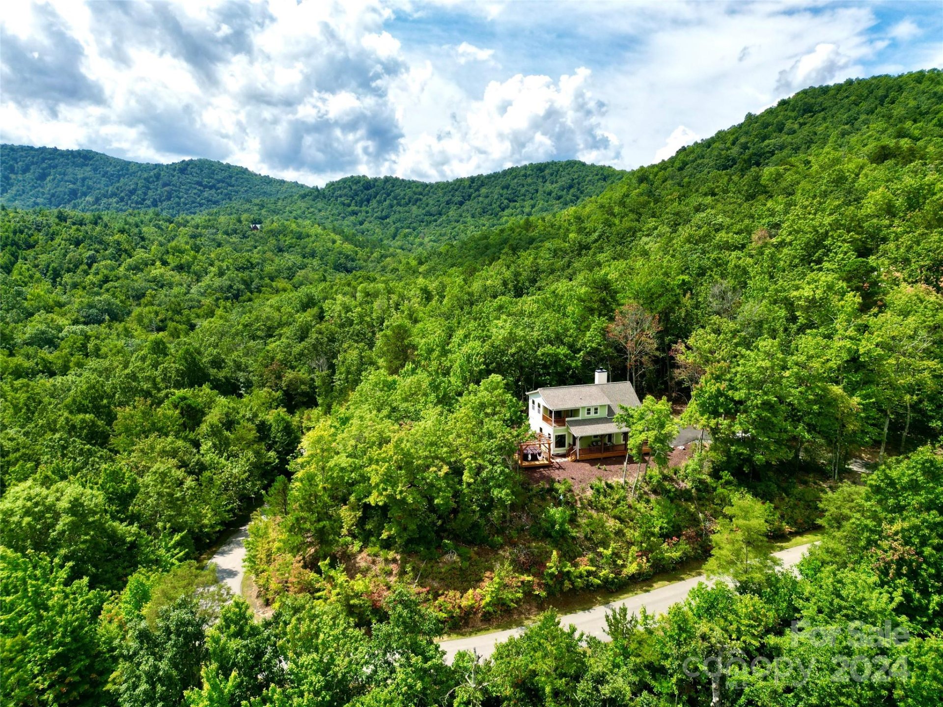 Property image 3 at 81 Mountain Falls Trail, Black Mountain, NC 28711
