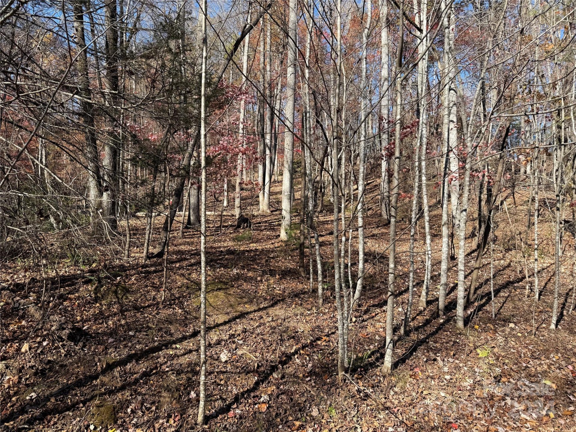 Property image 2 at Lot 72 Lakewood Drive, Lake Lure, NC 28746