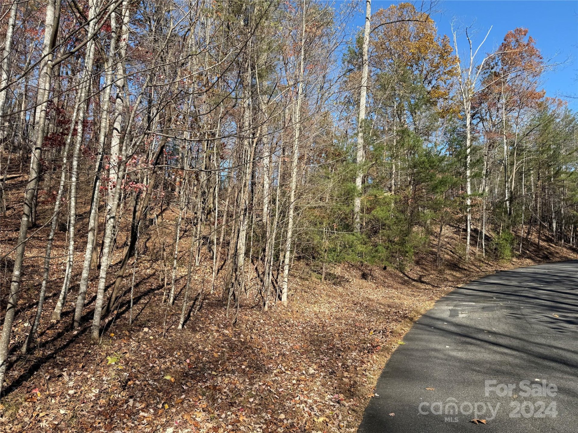 Property image 3 at Lot 72 Lakewood Drive, Lake Lure, NC 28746