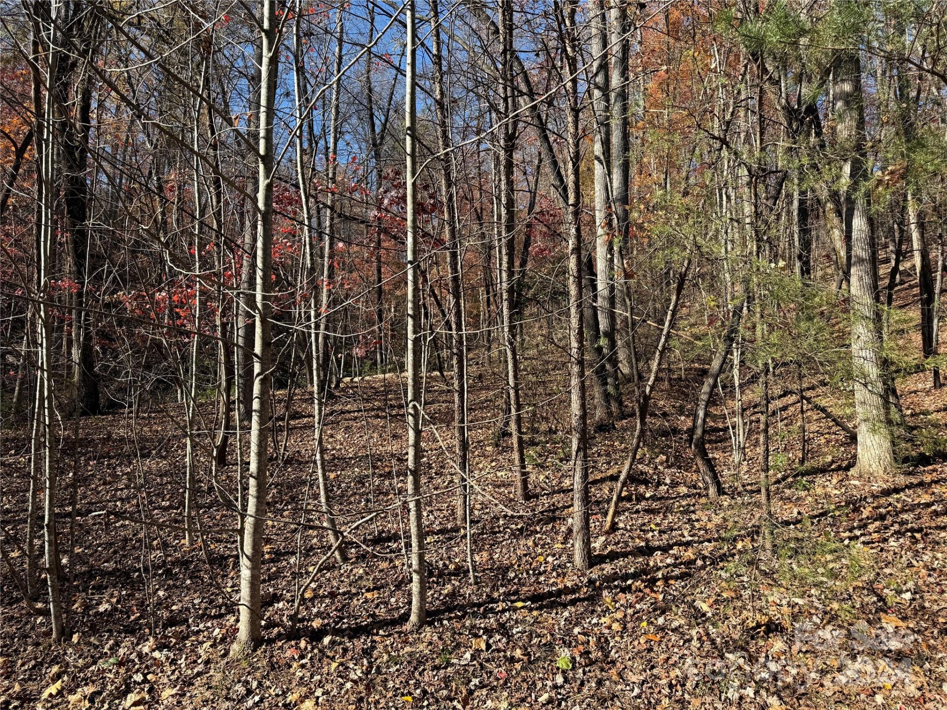 Property image 4 at Lot 72 Lakewood Drive, Lake Lure, NC 28746