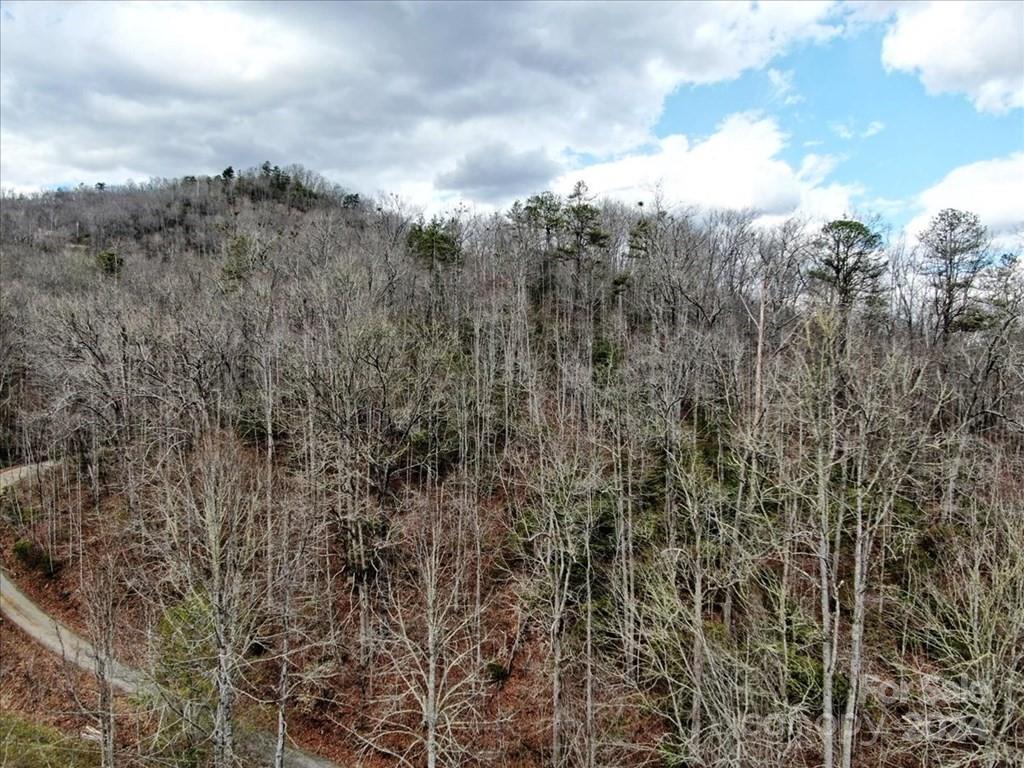 Property image 2 at Tbd Big Oak Springs Road, Sylva, NC 28779