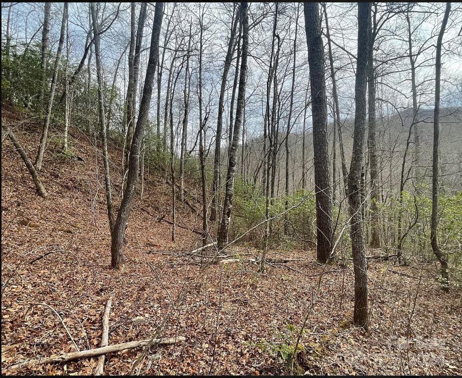 Property image 4 at Tbd Big Oak Springs Road, Sylva, NC 28779