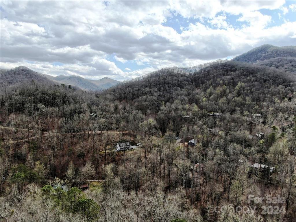 Property image 5 at Tbd Big Oak Springs Road, Sylva, NC 28779