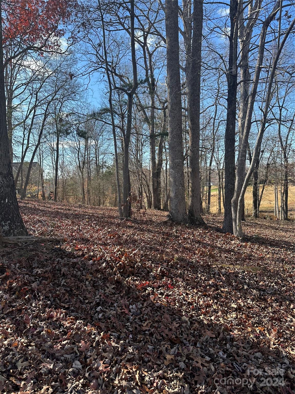 Property image 2 at 3712 Blankenship Drive, Morganton, NC 28655