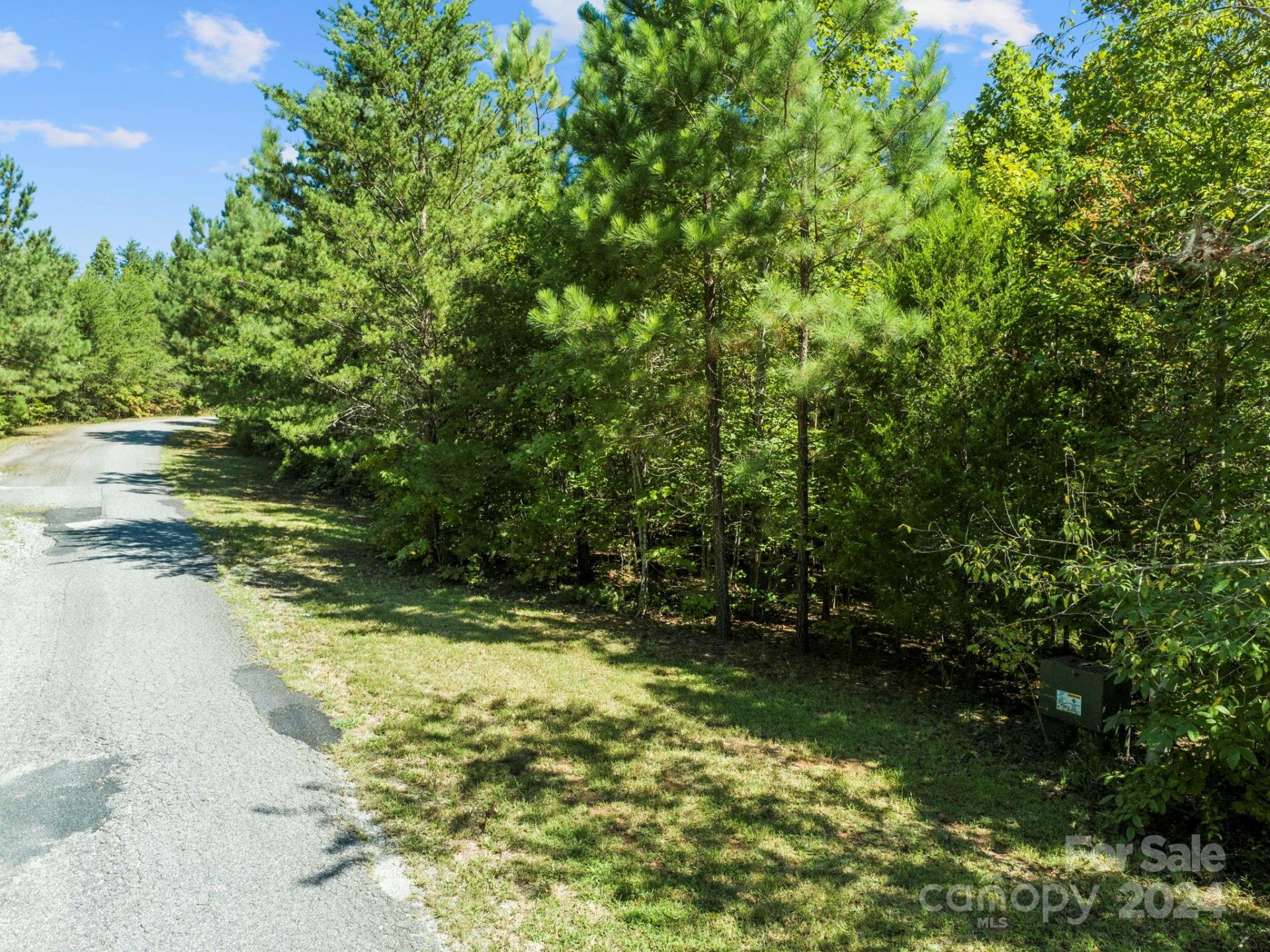 Property image 4 at 0000 Hope Drive, Rutherfordton, NC 28139