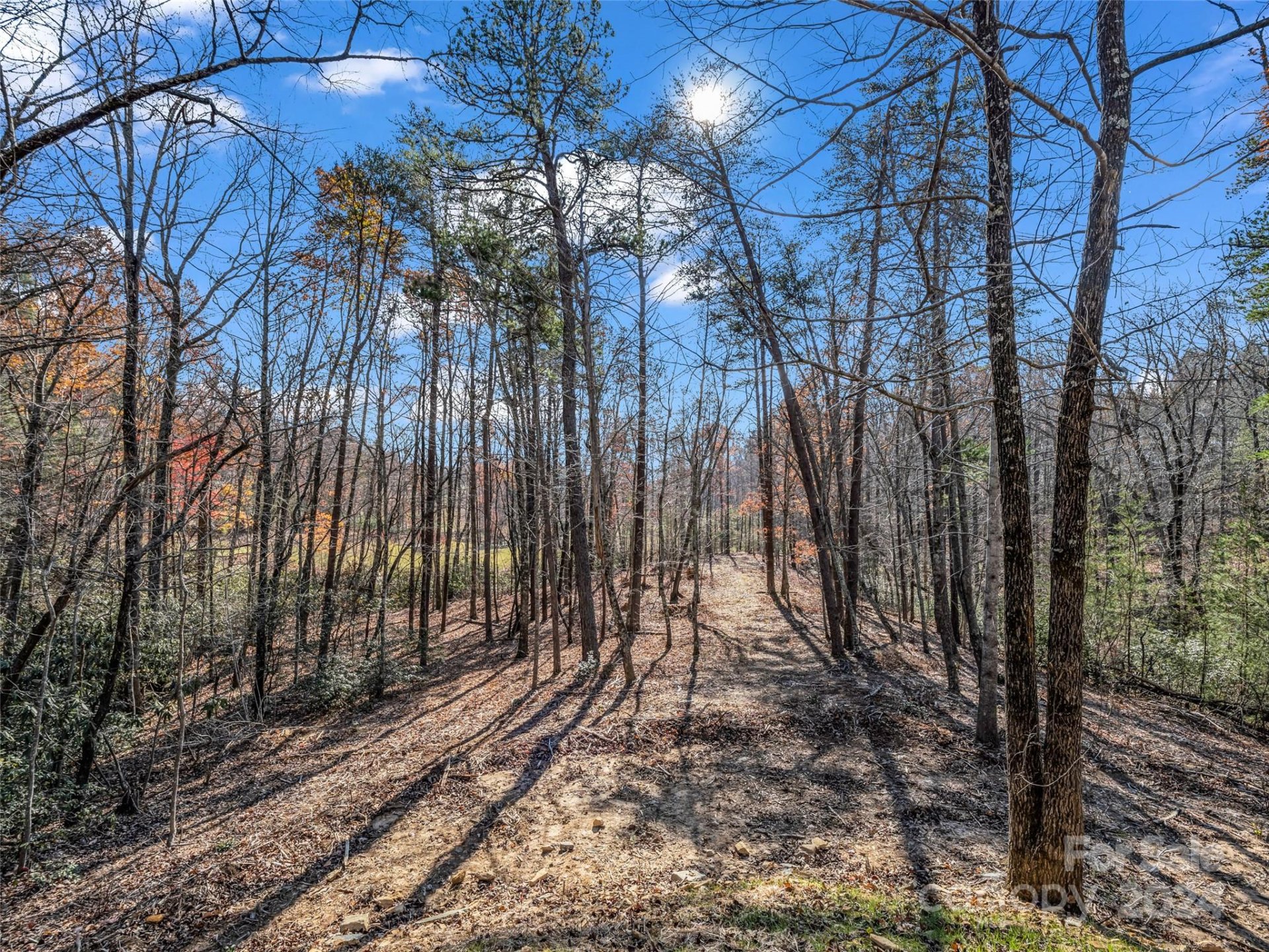 Property image 5 at 00 Deep Gap Farm Road, Mill Spring, NC 28756