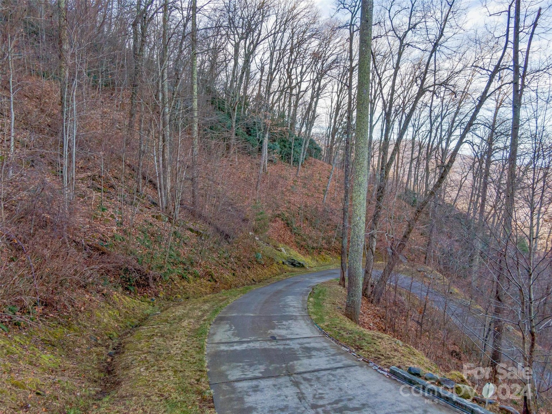Property image 2 at 99999 Stonecrest Drive, Asheville, NC 28803