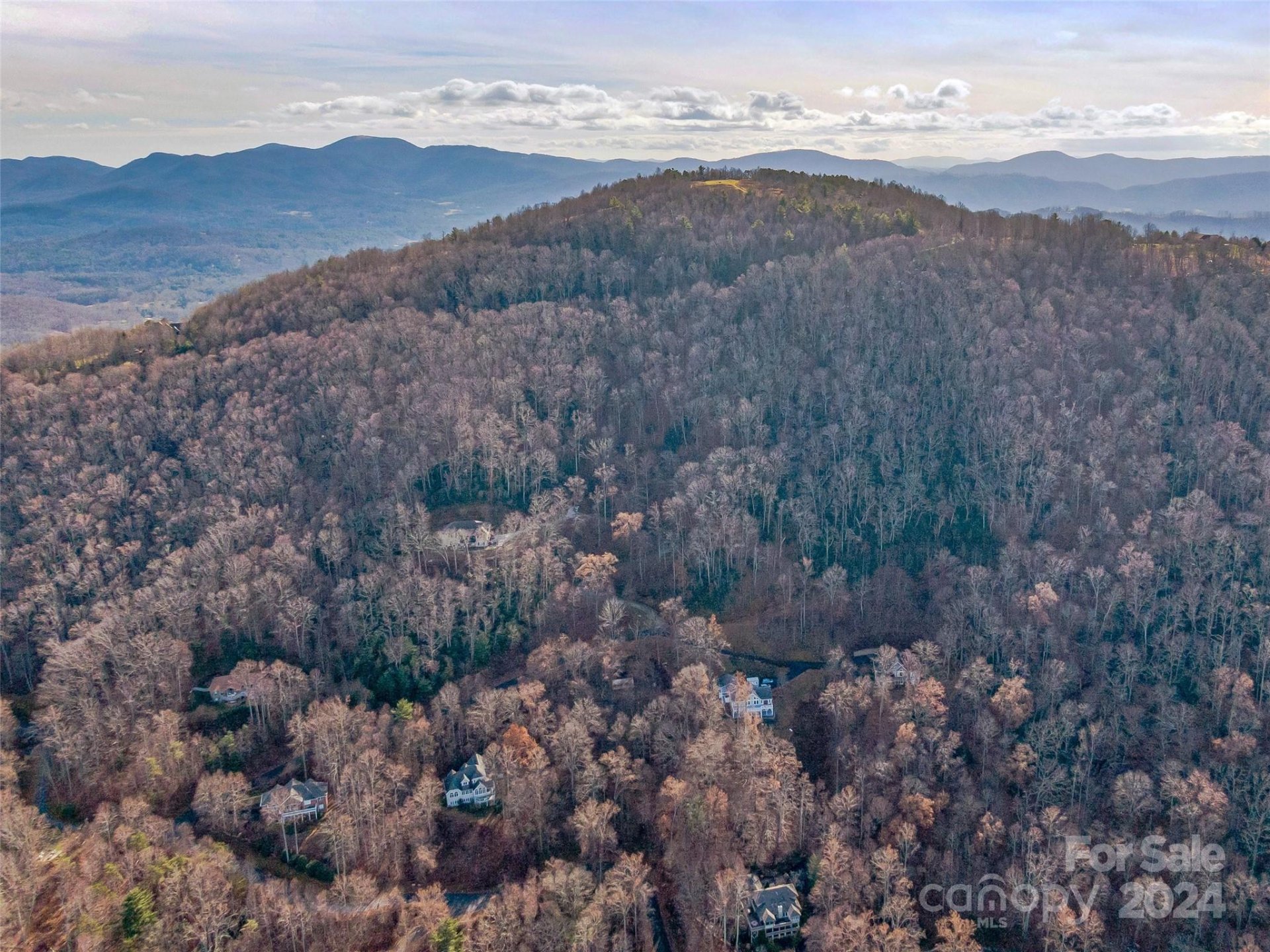 Property image 3 at 99999 Stonecrest Drive, Asheville, NC 28803