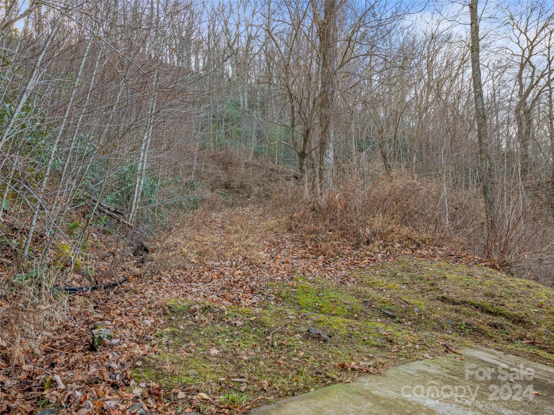 Property image 5 at 99999 Stonecrest Drive, Asheville, NC 28803