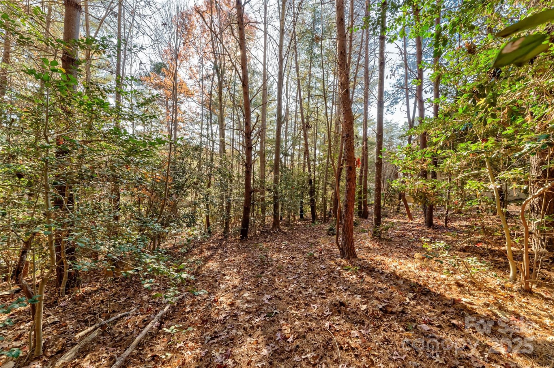 Property image 5 at 5101 Lighthouse Court, Morganton, NC 28655