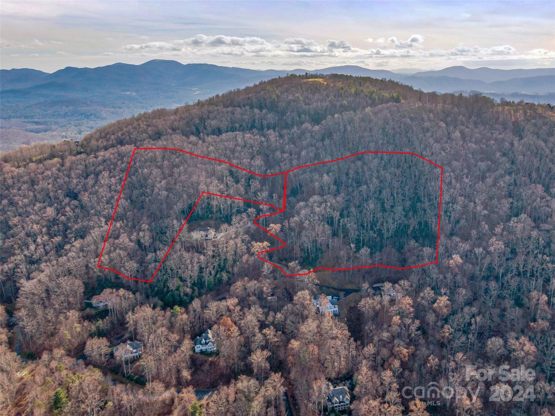 Property image 2 at 99999 Stonecrest Drive, Asheville, NC 28803