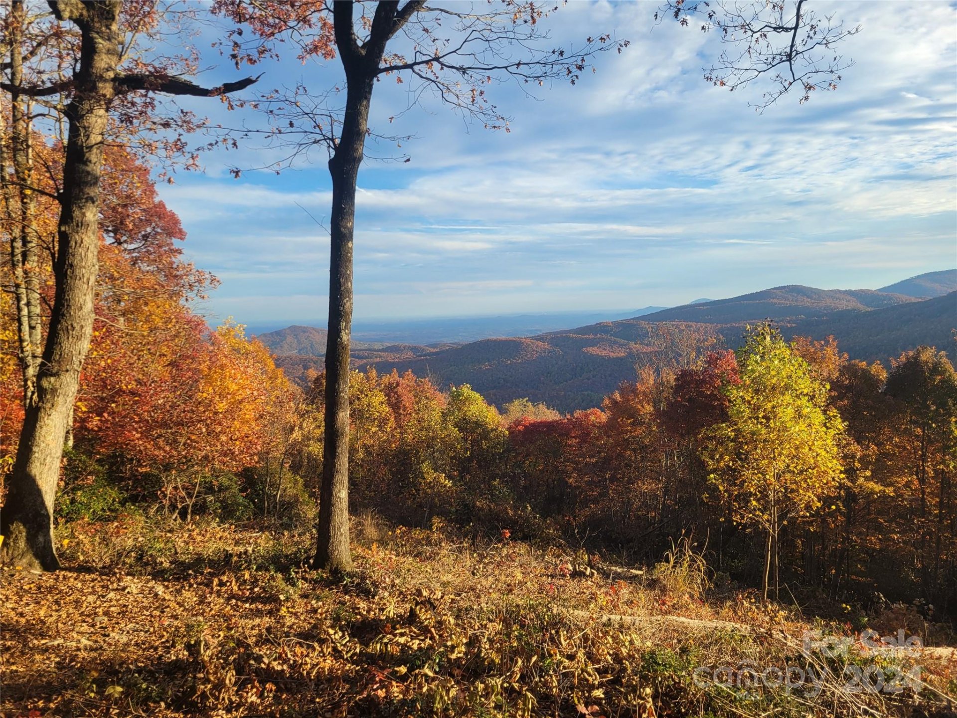 Property image 2 at 99999 High Cliffs Trail, Black Mountain, NC 28711