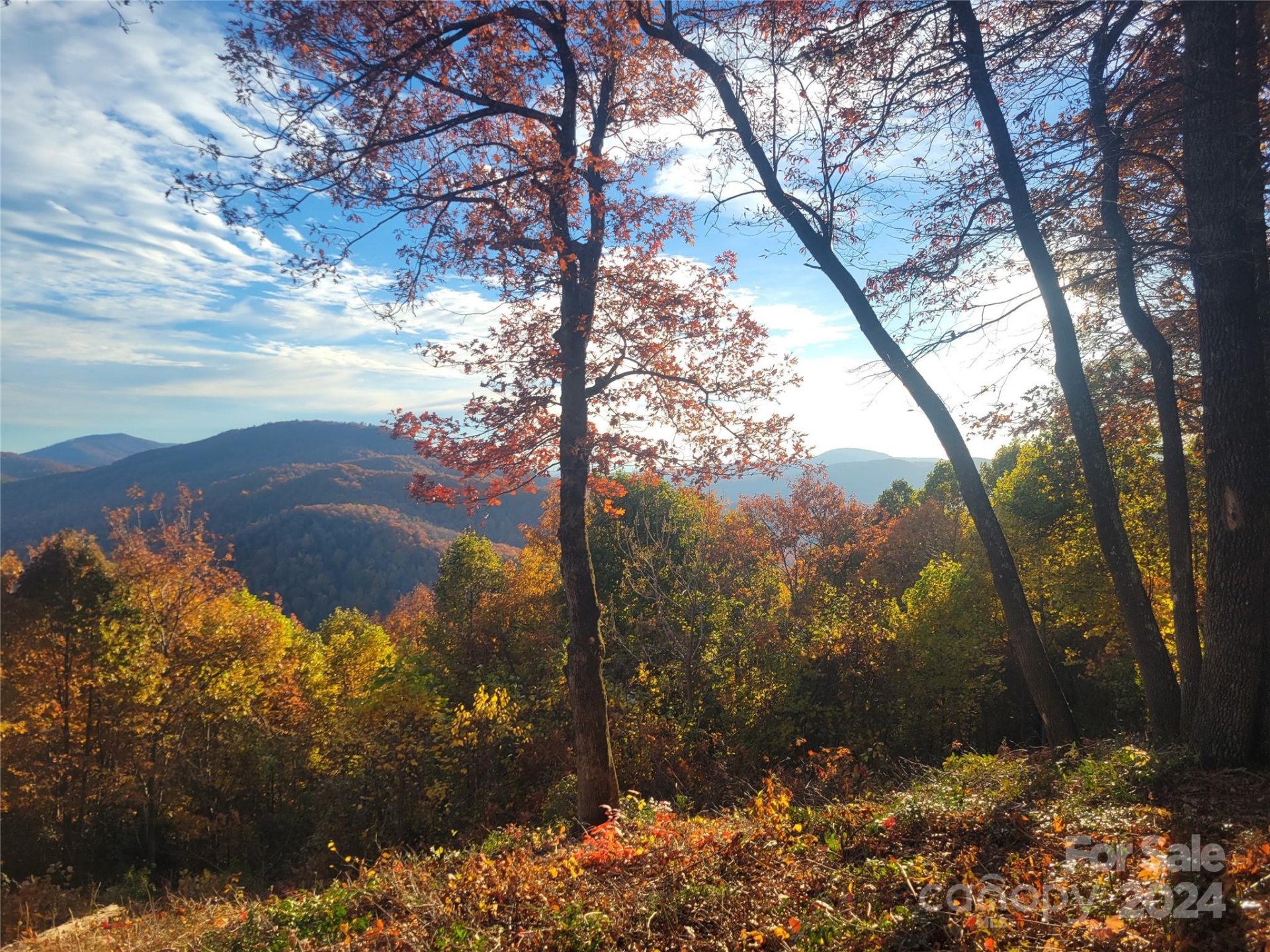 Property image 3 at 99999 High Cliffs Trail, Black Mountain, NC 28711
