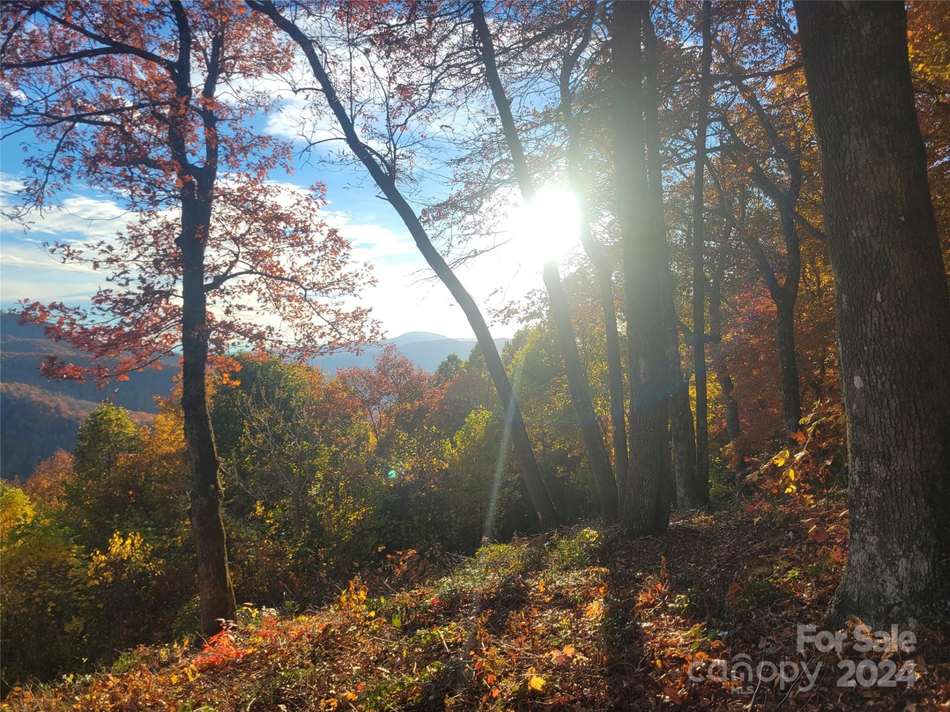 Property image 4 at 99999 High Cliffs Trail, Black Mountain, NC 28711