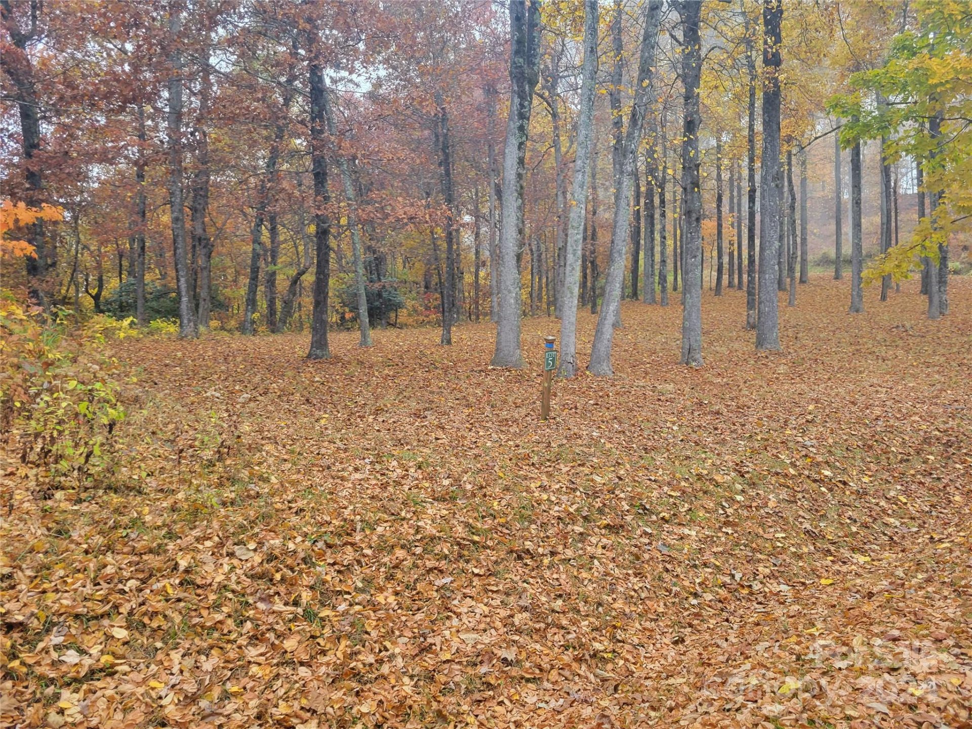 Property image 5 at 99999 High Cliffs Trail, Black Mountain, NC 28711