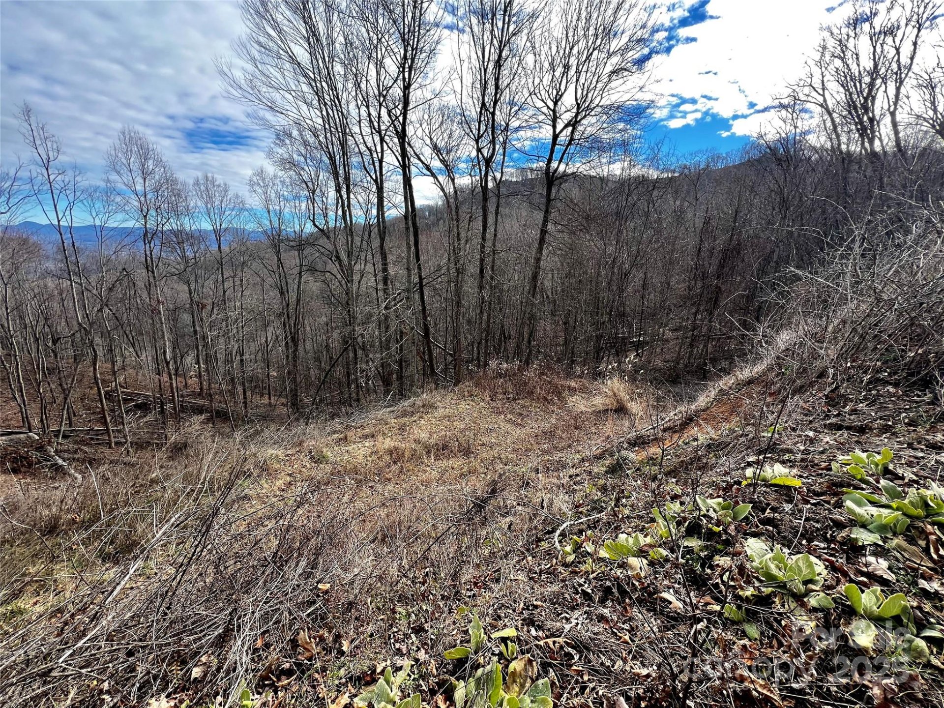 Property image 4 at 4 And 4b Salisbury Cove, Waynesville, NC 28785