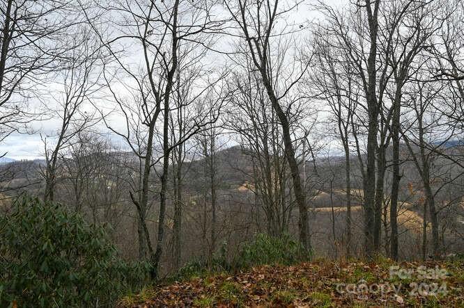 Property image 2 at 19 Flowing Hills Drive, Clyde, NC 28721