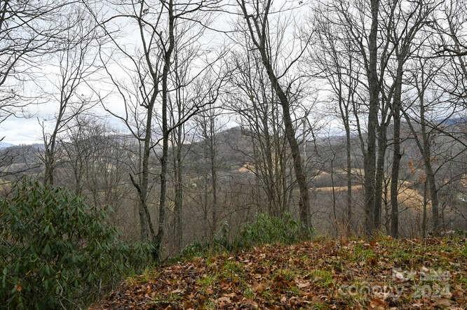Property image 3 at 19 Flowing Hills Drive, Clyde, NC 28721