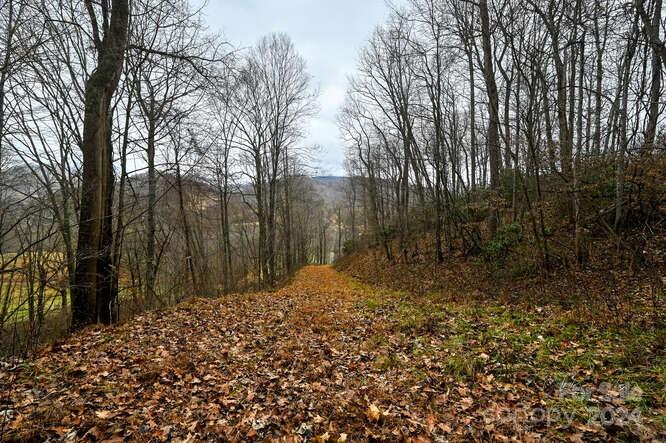 Property image 4 at 19 Flowing Hills Drive, Clyde, NC 28721