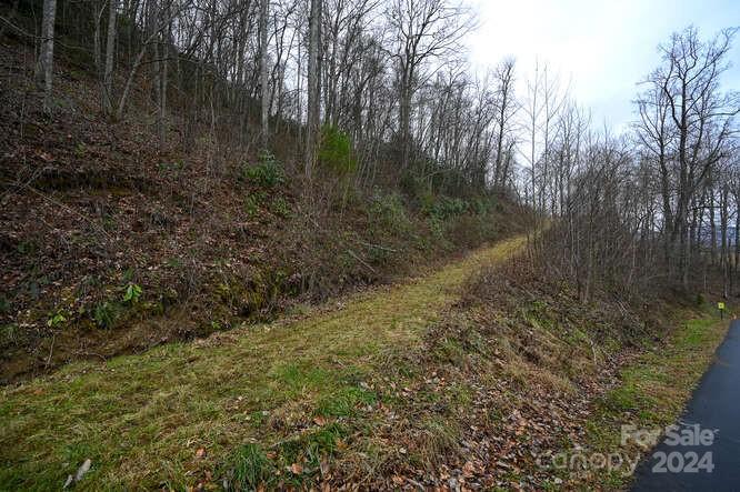 Property image 5 at 19 Flowing Hills Drive, Clyde, NC 28721