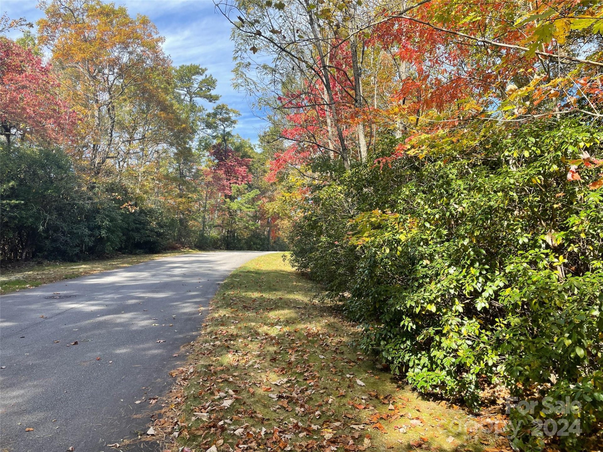 Property image 1 at 0000 Pine Mountain Trail, Brevard, NC 28712
