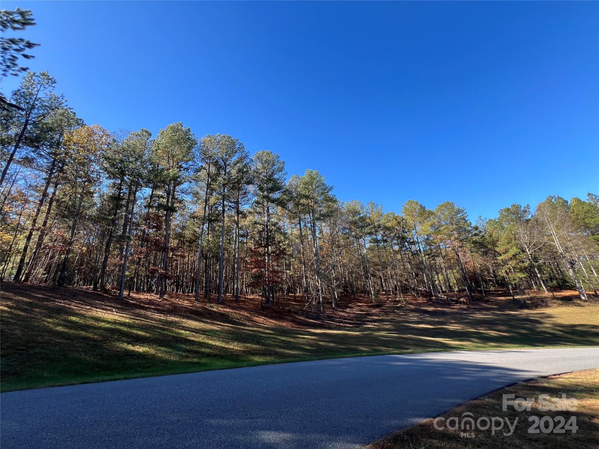 Property image 1 at 110 Rivercliff Drive, Connelly Springs, NC 28612