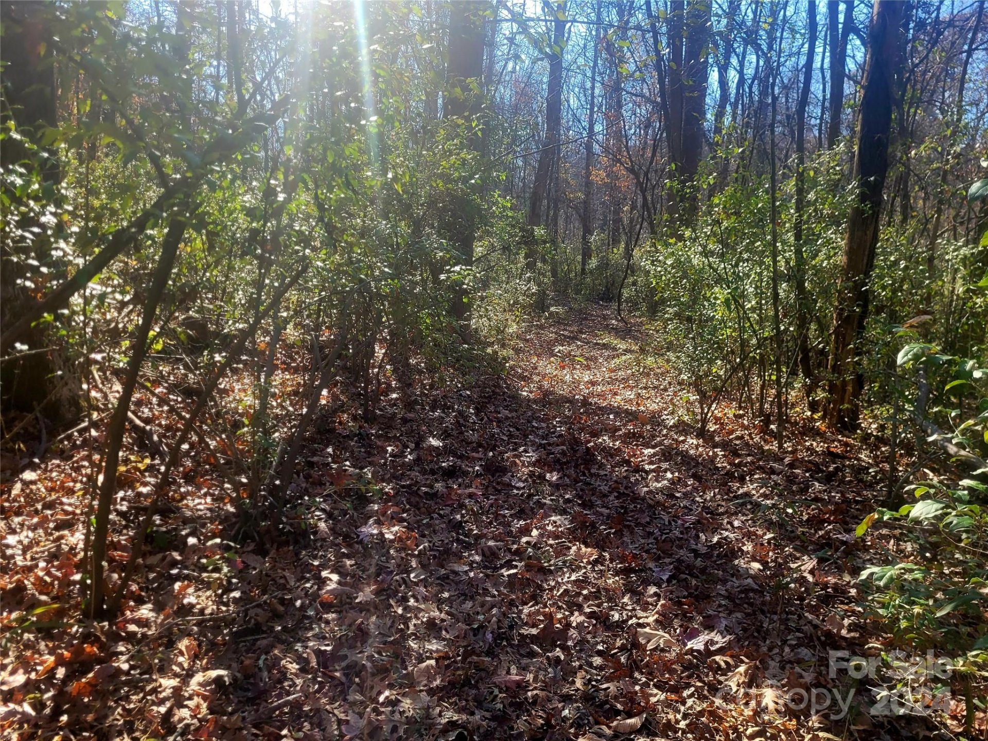 Property image 5 at 55 Trails End, Mount Holly, NC 28120