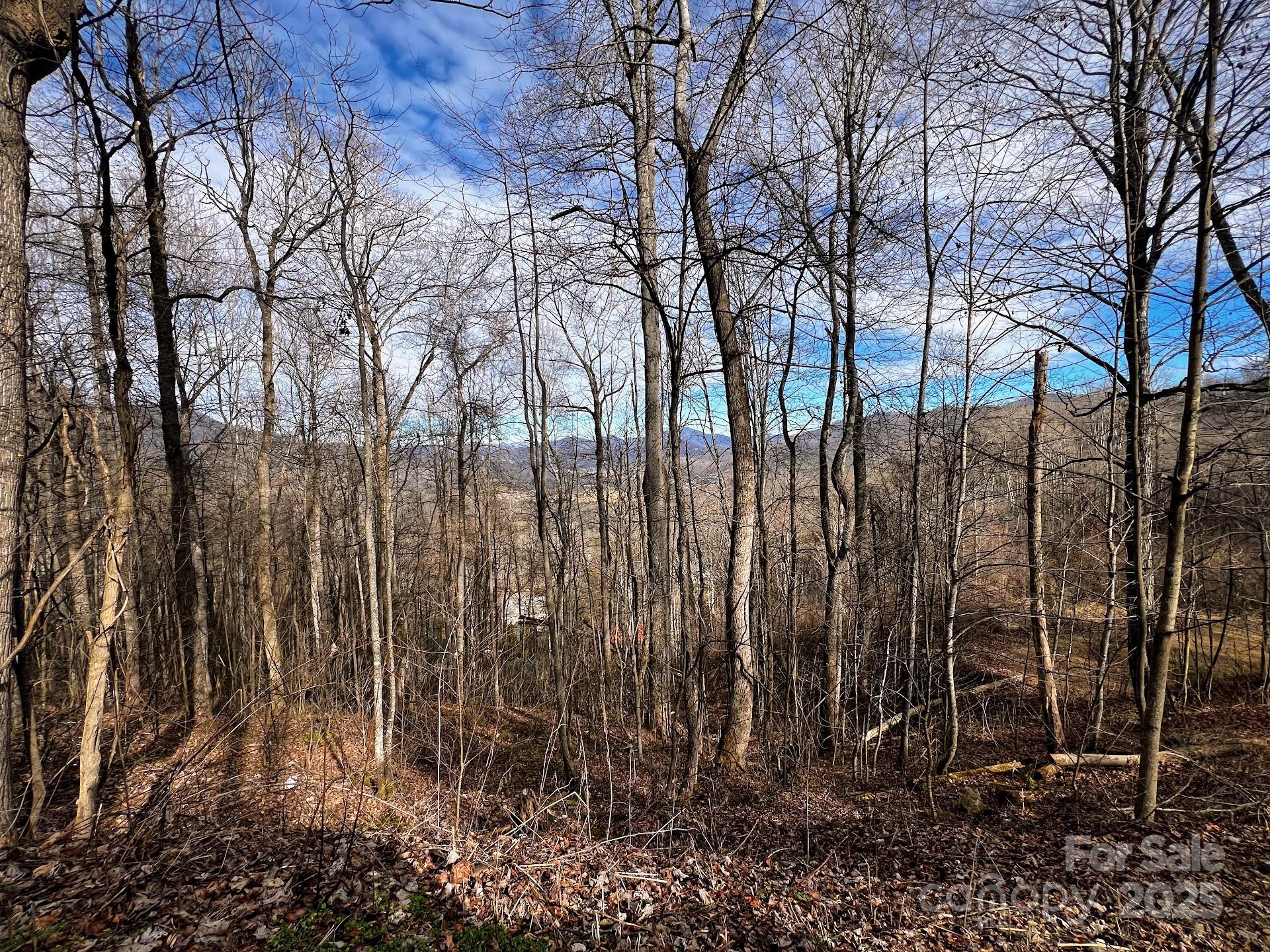 Property image 1 at 618 Billy Bob Trail, Waynesville, NC 28786