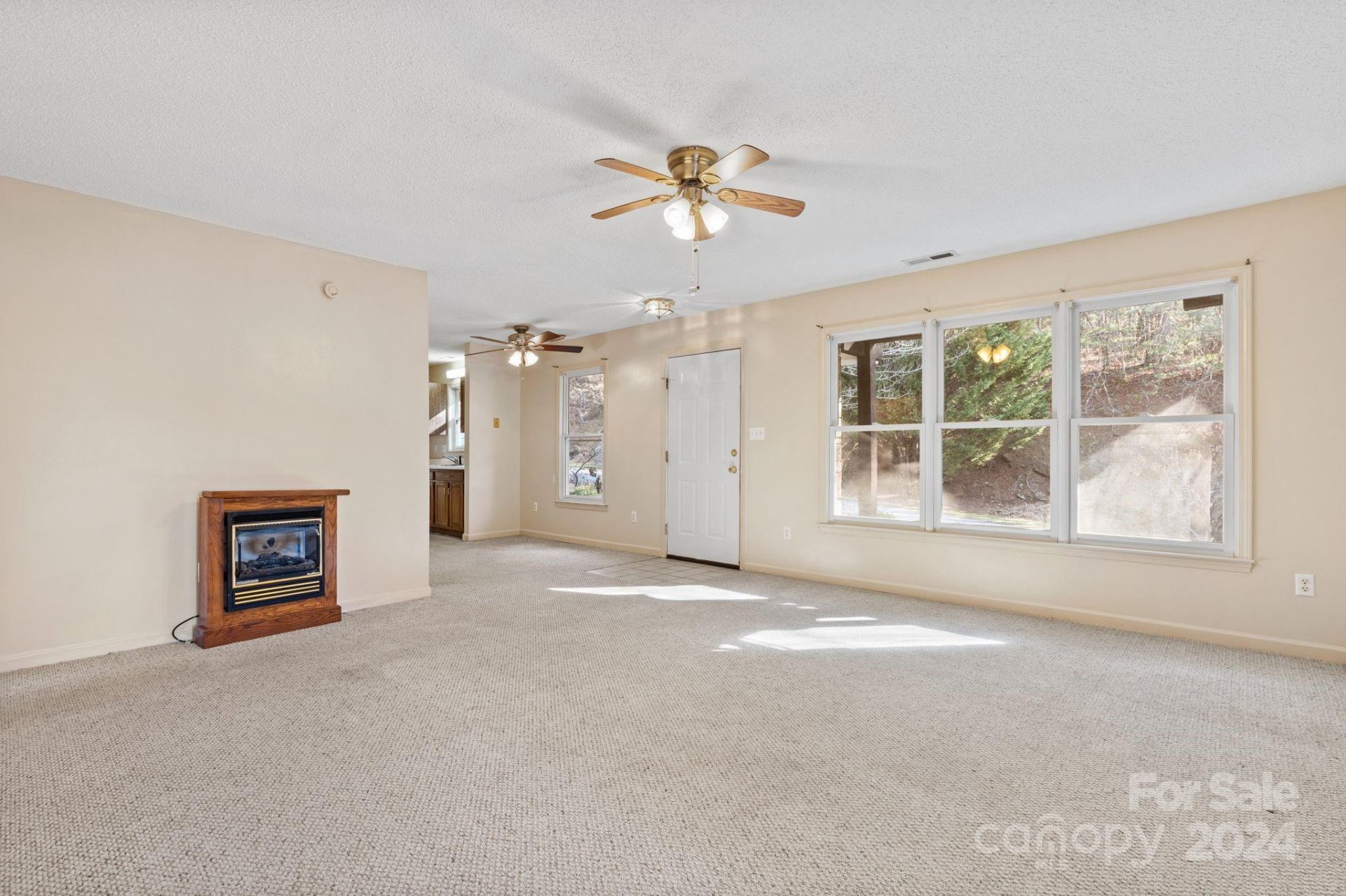 Property image 4 at 205 Rocky Mountain Way, Arden, NC 28704