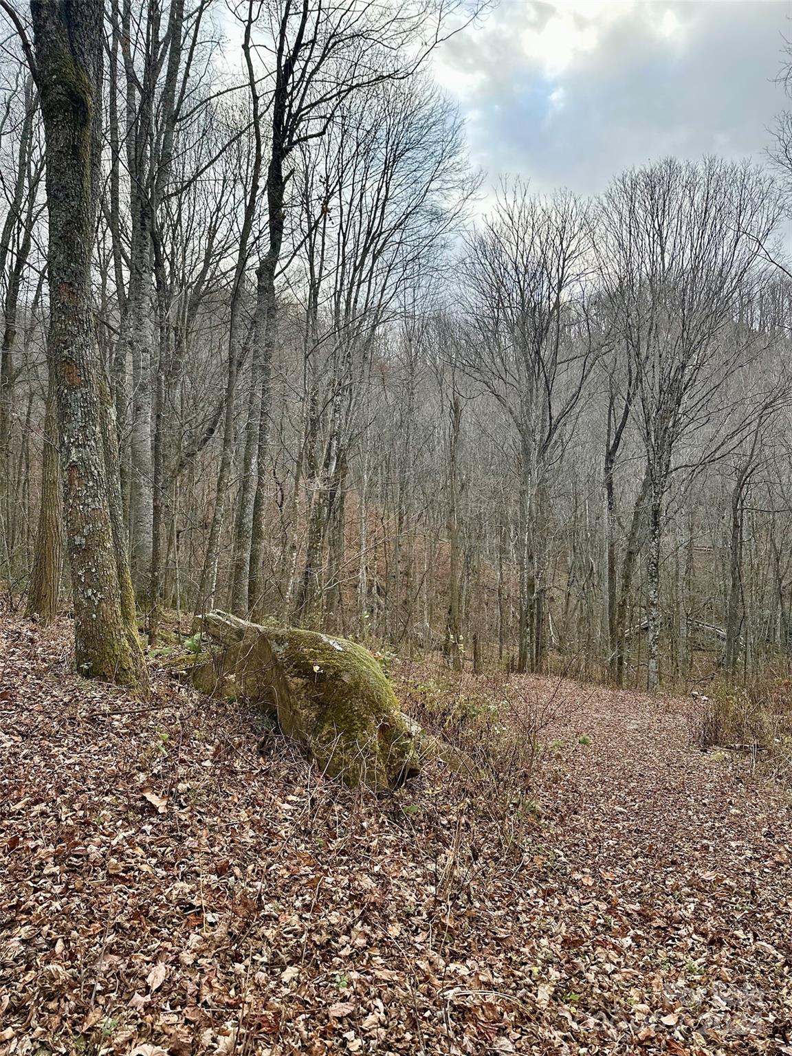 Property at 11 Treetops Lane, Clyde, NC 28721