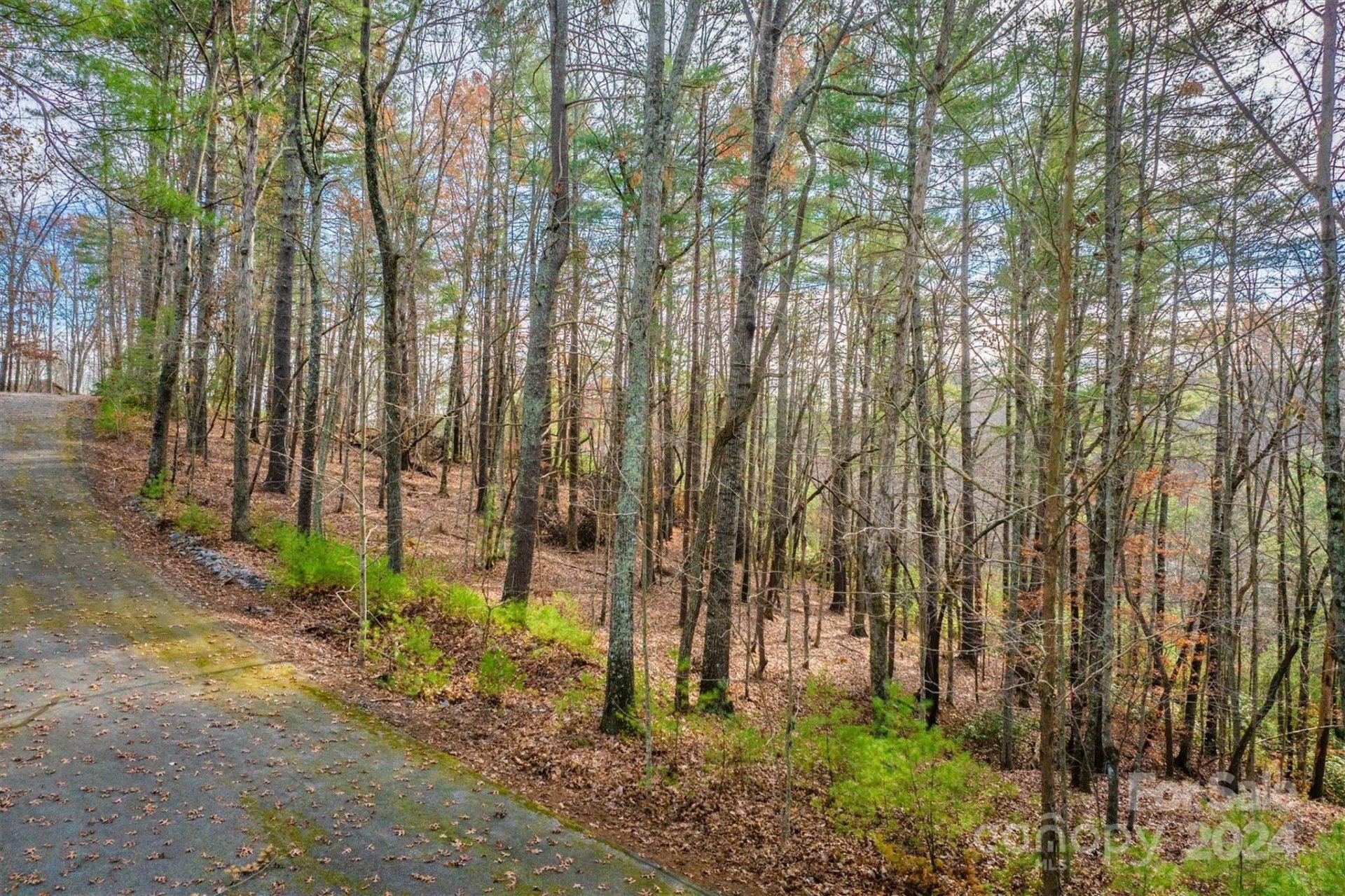 Property image 2 at 133 James Bob Stafford Drive, Nebo, NC 28601