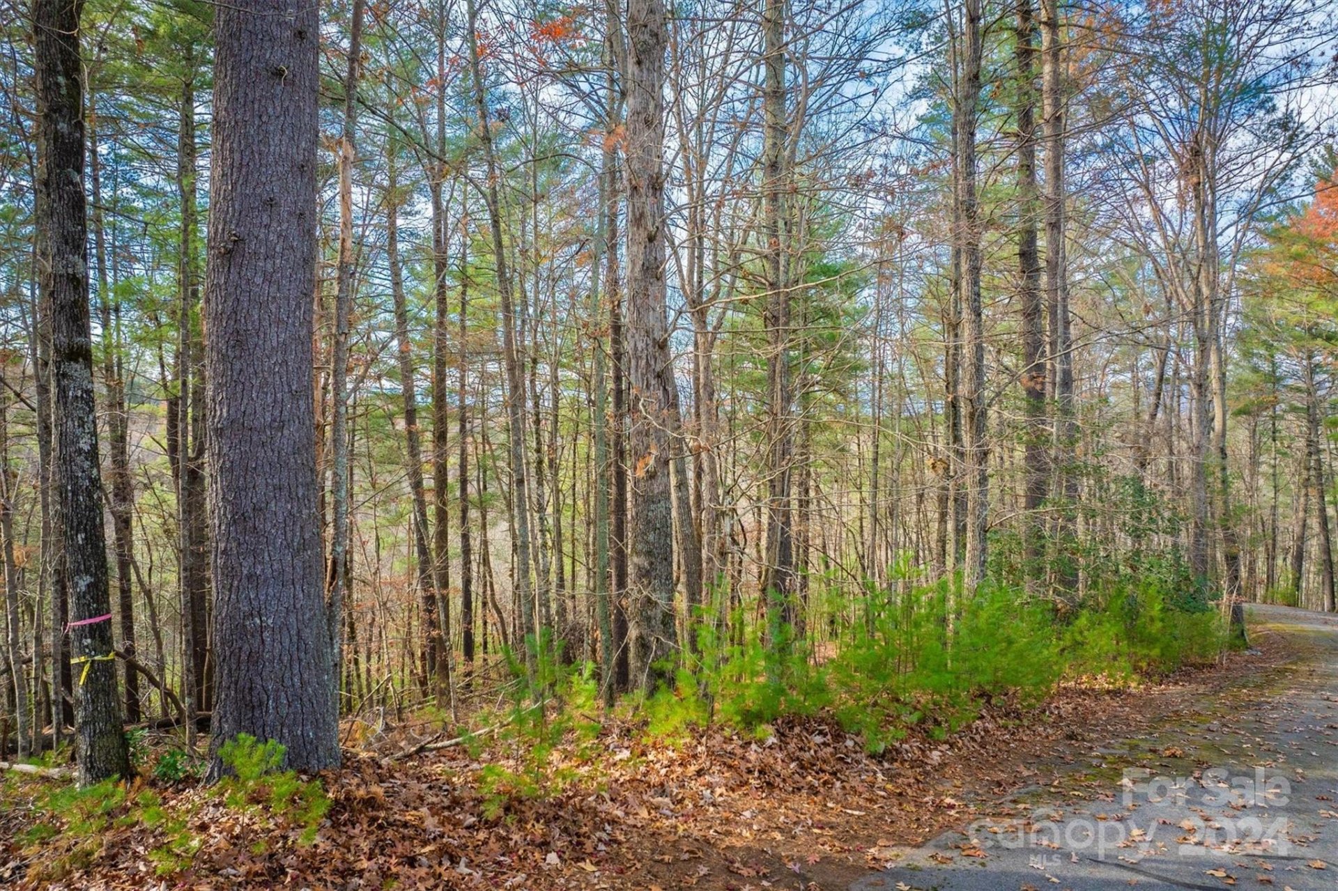 Property image 3 at 133 James Bob Stafford Drive, Nebo, NC 28601