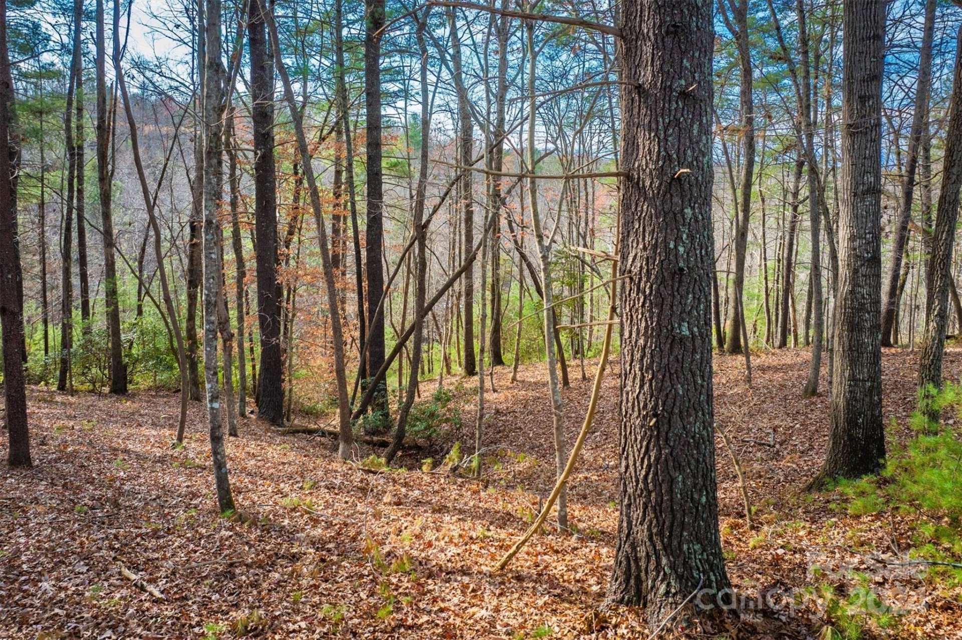 Property image 4 at 133 James Bob Stafford Drive, Nebo, NC 28601