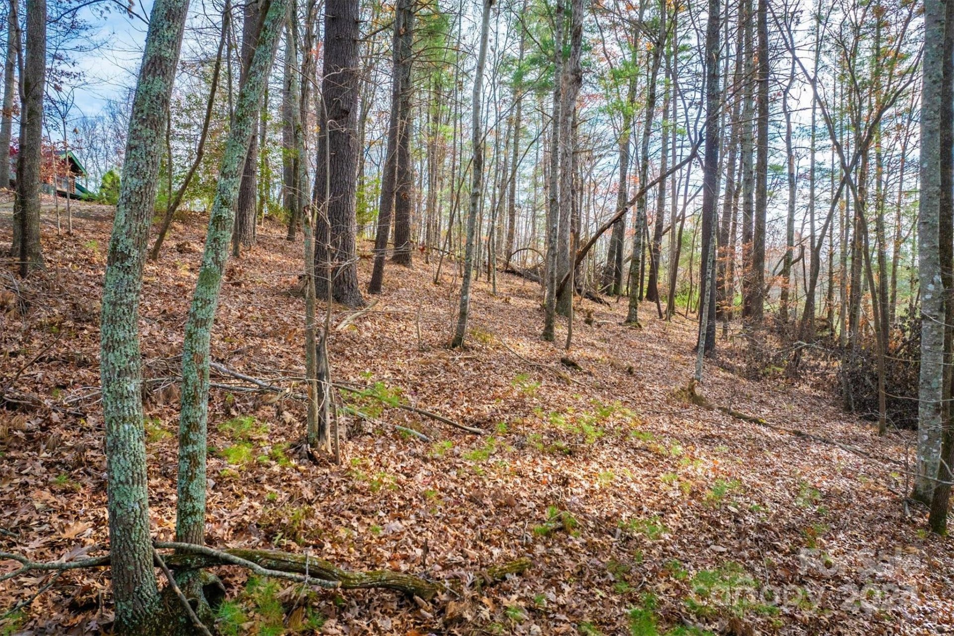Property image 5 at 133 James Bob Stafford Drive, Nebo, NC 28601