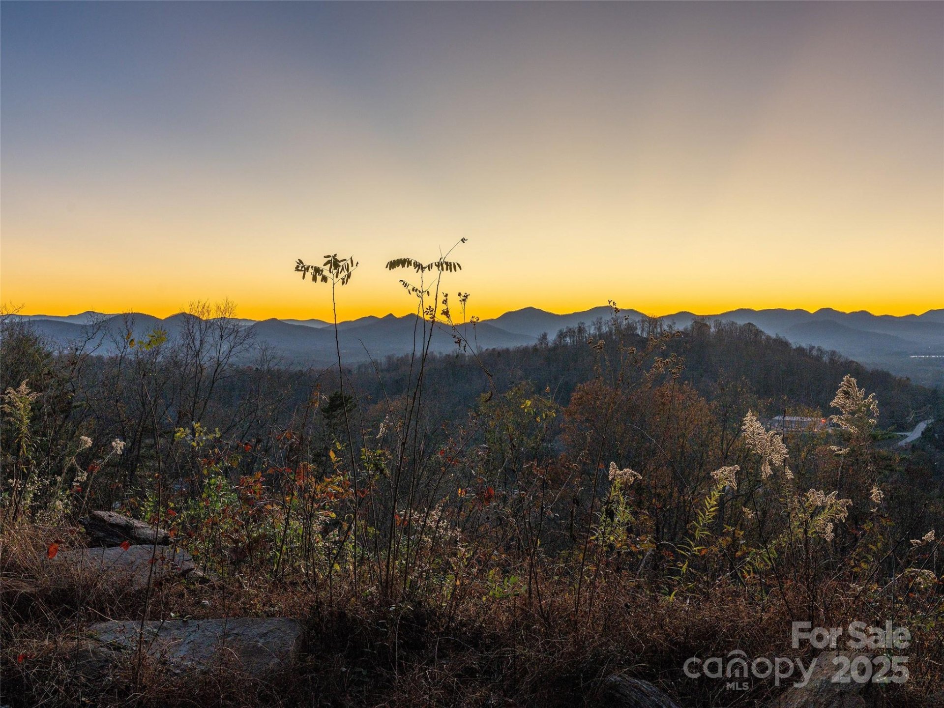 Baird Cove, Asheville Community