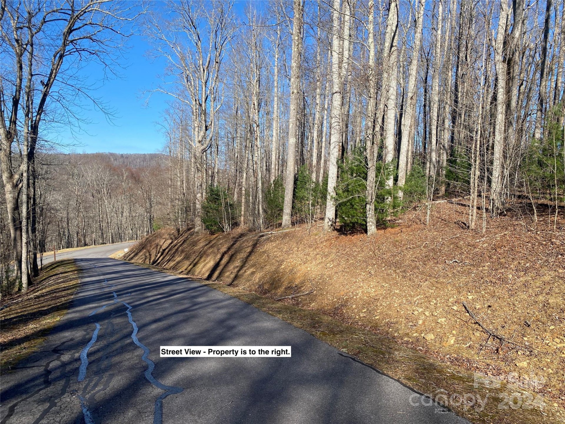 Property at Lot 3 Dragonfly Court, Spruce Pine, NC 28714