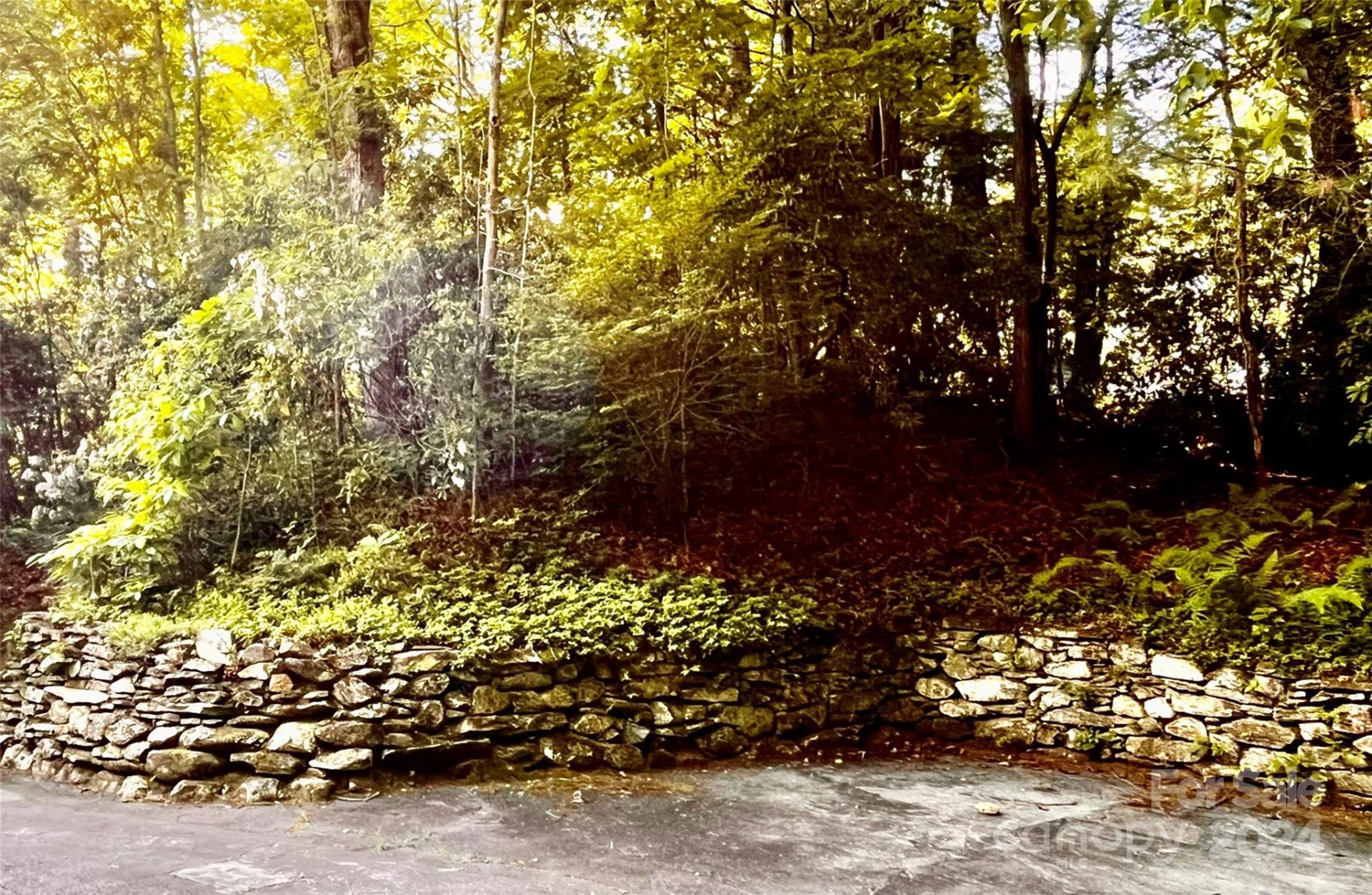 Property image 2 at 585 Nottingham Road, Brevard, NC 28712