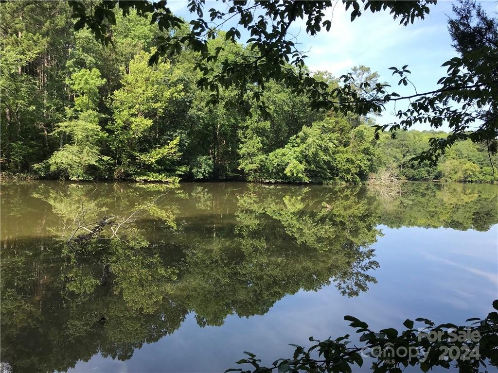 Property image 2 at 2793 Catawba Road, Great Falls, SC 29055