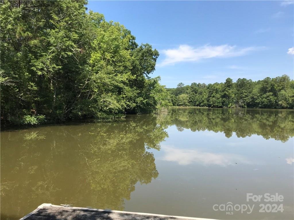 Property image 4 at 2793 Catawba Road, Great Falls, SC 29055