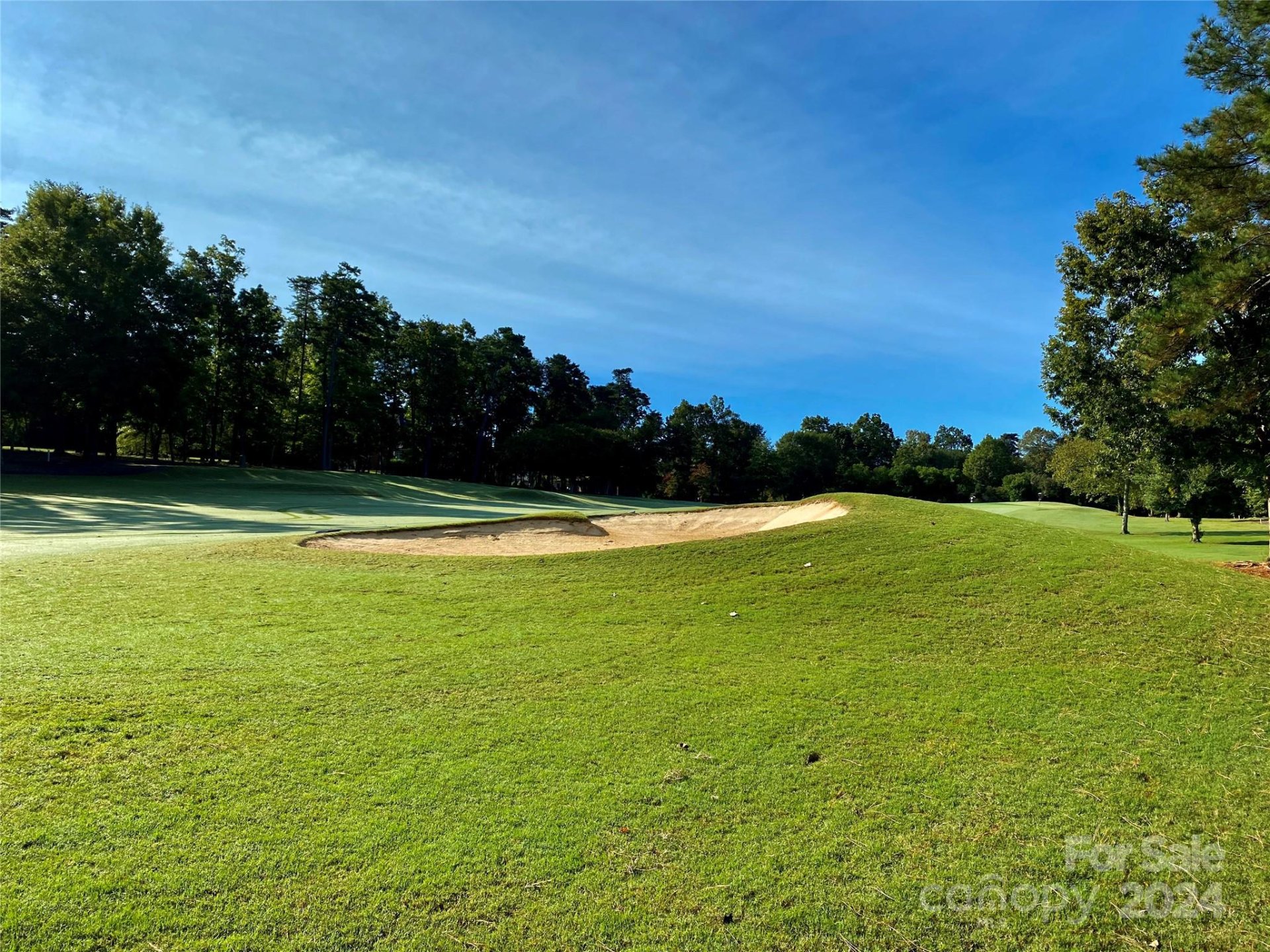 Property image 3 at 1763 Southpoint Lane, New London, NC 28127