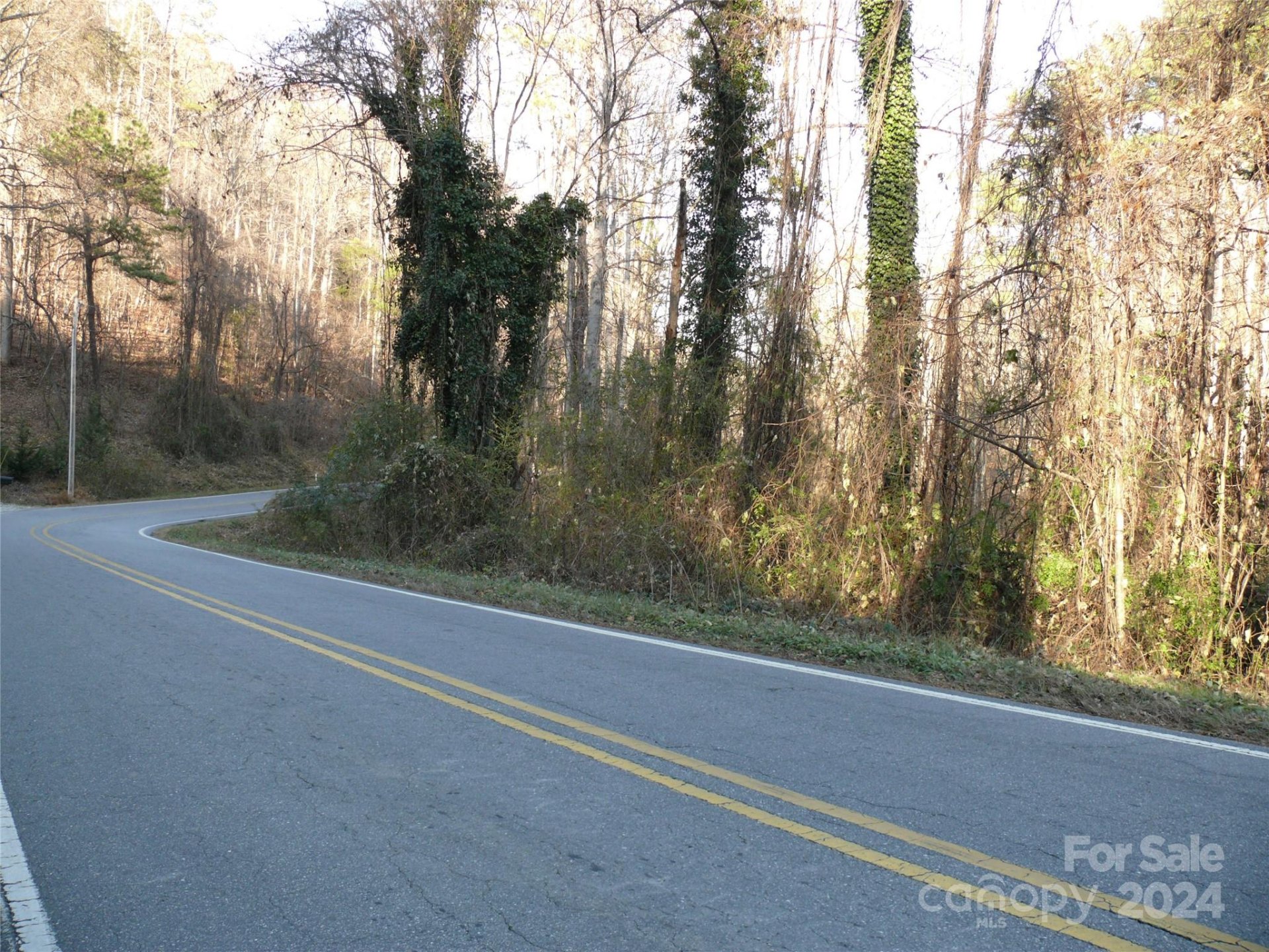 Property image 2 at Lot 1 Island Creek Road, Lake Lure, NC 28746