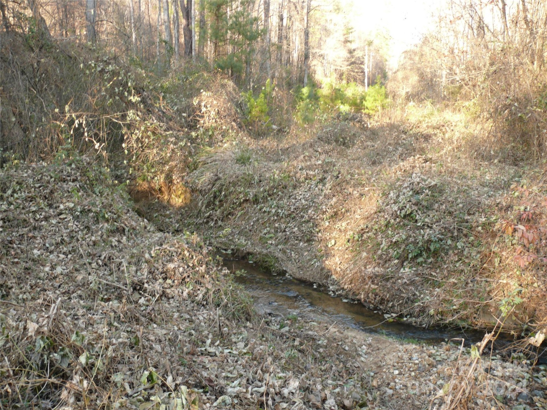 Property image 3 at Lot 1 Island Creek Road, Lake Lure, NC 28746
