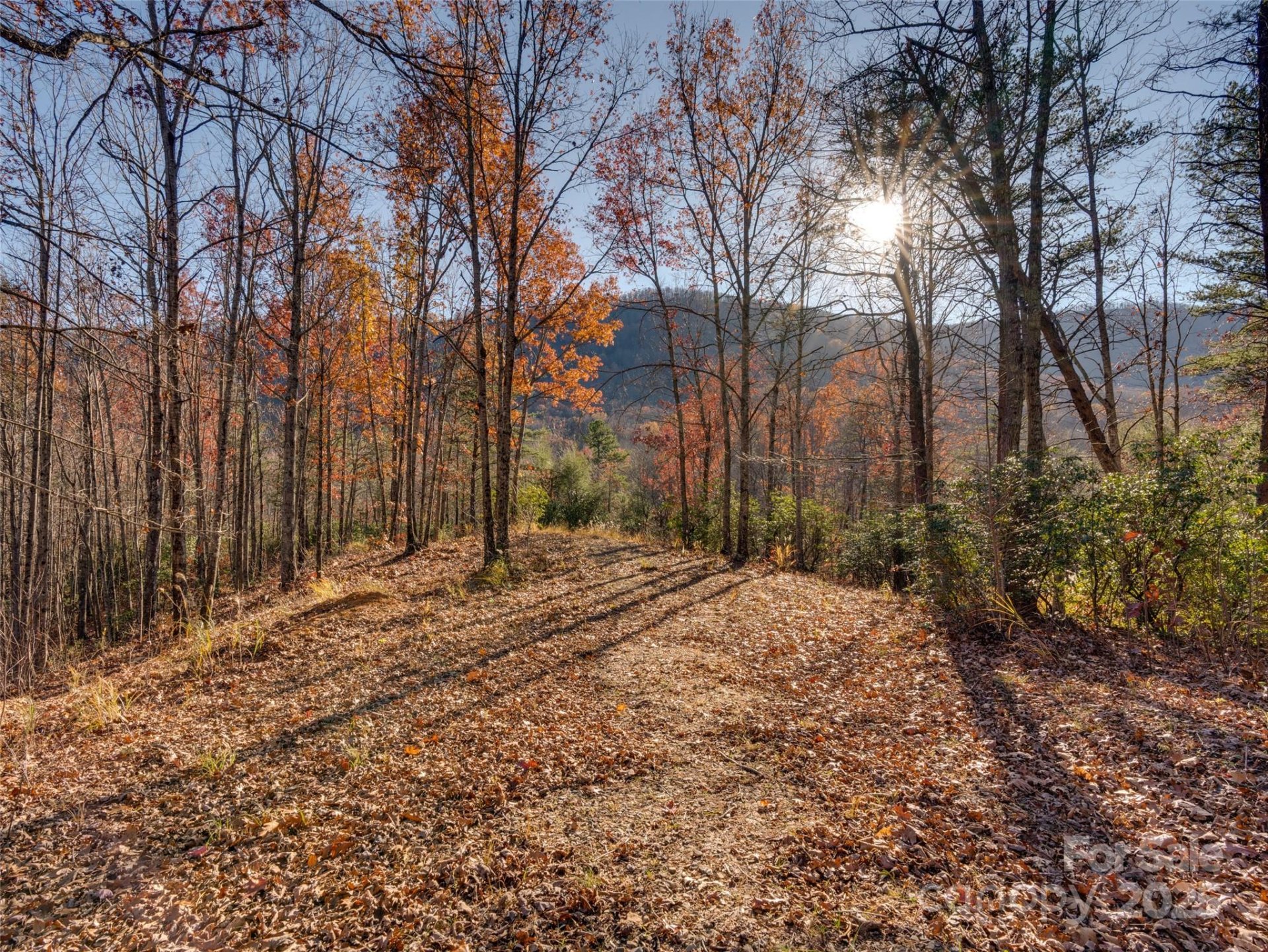 Property at 263 Nuthatch Lane, Black Mountain, NC 28711