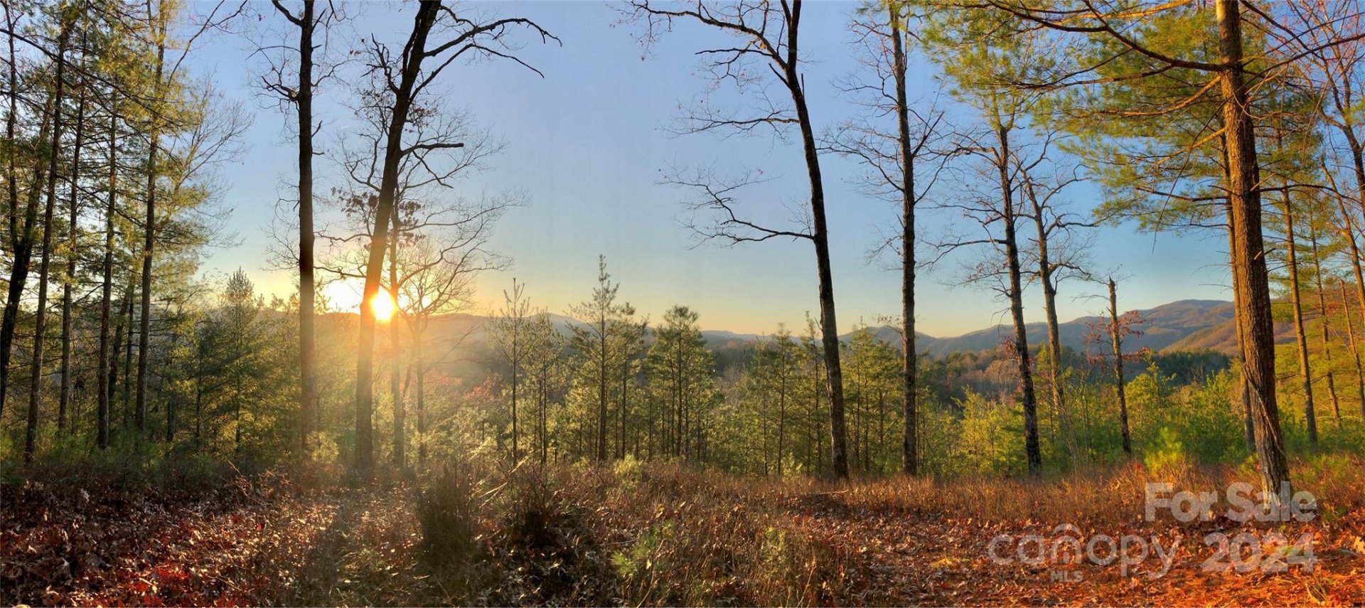 Property image 1 at 60 Longview Court, Marshall, NC 28753